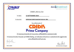 Cribis-Prime-Company-IT.jpg